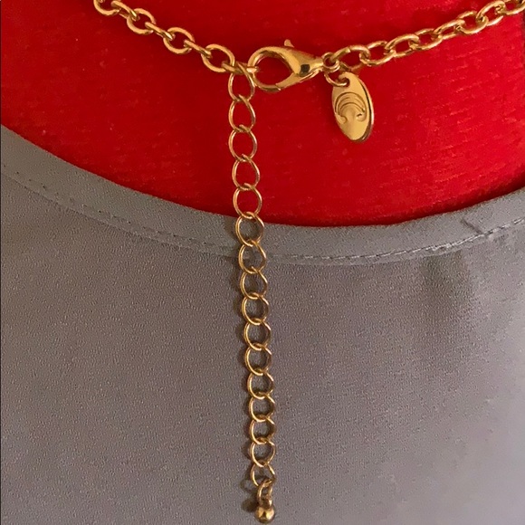 Charming Charlie Necklace - Picture 5 of 5